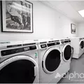 Studio Apartment for rent in Harlem - Manhattan, New York