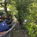 Room for rent in San Rafael #13