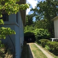 Room for rent in San Rafael #10
