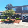 Room for rent in Castro Valley #4