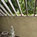 Room for rent in Tempe #8