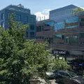 Studio Apartment for rent in Williamsburg - Brooklyn, New York