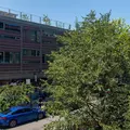 Studio Apartment for rent in Williamsburg - Brooklyn, New York