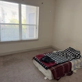 Room for rent in Oak Lawn #3