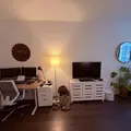 Studio Apartment for rent in FiDi - Manhattan, New York