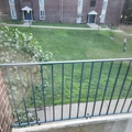 Room for rent in Providence #9