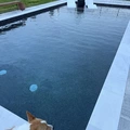 Room for rent in Lake Mary #4