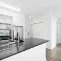 1 bedroom apartment for rent in Fort Greene - Brooklyn, New York