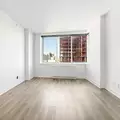 1 bedroom apartment for rent in Fort Greene - Brooklyn, New York