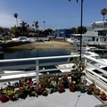 Room for rent in Huntington Beach #5