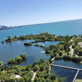 Room for rent in Humber Bay Shores #1