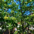 3 bedrooms apartment for rent in Morningside Heights - Manhattan, New York