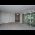 Room for rent in College Park #3