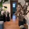 Room for rent in Santa Monica #9