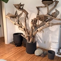 Room for rent in Santa Monica #12