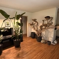 Room for rent in Santa Monica #4