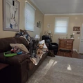 Room for rent in Springfield #3