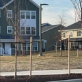 Room for rent in Bowie #1