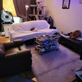 Room for rent in Cyrville #2