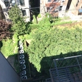 Room for rent in Bedford Stuyvesant #4