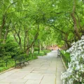 2 bedrooms apartment for rent in East Harlem - Manhattan, New York