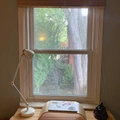 Room for rent in Riverdale #6