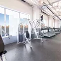 1 bedroom apartment for rent in Williamsburg - Brooklyn, New York