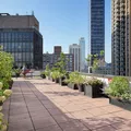 1 bedroom apartment for rent in Upper West Side - Manhattan, New York