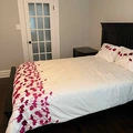 Room for rent in The Glebe #7