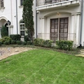 Room for rent in Lakewood #1
