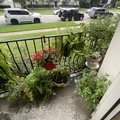 Room for rent in Lakewood #17