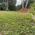 Room for rent in Miramar #4