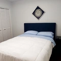 Room for rent in Central Arlington #5