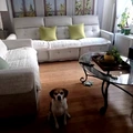 Room for rent in Washington Heights #6