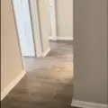 Room for rent in College Park MD #4