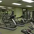 1 bedroom apartment for rent in Union Square - Manhattan, New York