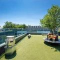 3 bedrooms apartment for rent in Bushwick - Brooklyn, New York