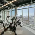 1 bedroom apartment for rent in Greenpoint - Brooklyn, New York