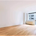 1 bedroom apartment for rent in FiDi - Manhattan, New York