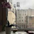 2 bedrooms apartment for rent in China Town / Little Italy - Manhattan, New York