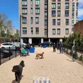 1 bedroom apartment for rent in Prospect Lefferts Gardens - Brooklyn, New York