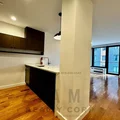 2 bedrooms apartment for rent in Flatbush Ditmas Park - Brooklyn, New York