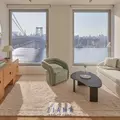 1 bedroom apartment for rent in Williamsburg - Brooklyn, New York