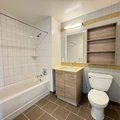 Studio Apartment for rent in Prospect Lefferts Gardens - Brooklyn, New York