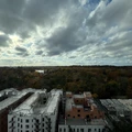 Studio Apartment for rent in Prospect Lefferts Gardens - Brooklyn, New York