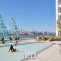 1 bedroom apartment for rent in Williamsburg - Brooklyn, New York