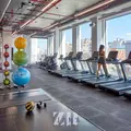 1 bedroom apartment for rent in Williamsburg - Brooklyn, New York
