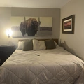 Room for rent in Central Scottsdale #4