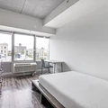 3 bedrooms apartment for rent in The Bronx - The Bronx, New York