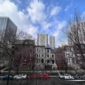 1 bedroom apartment for rent in Gold Coast - Central, Chicago